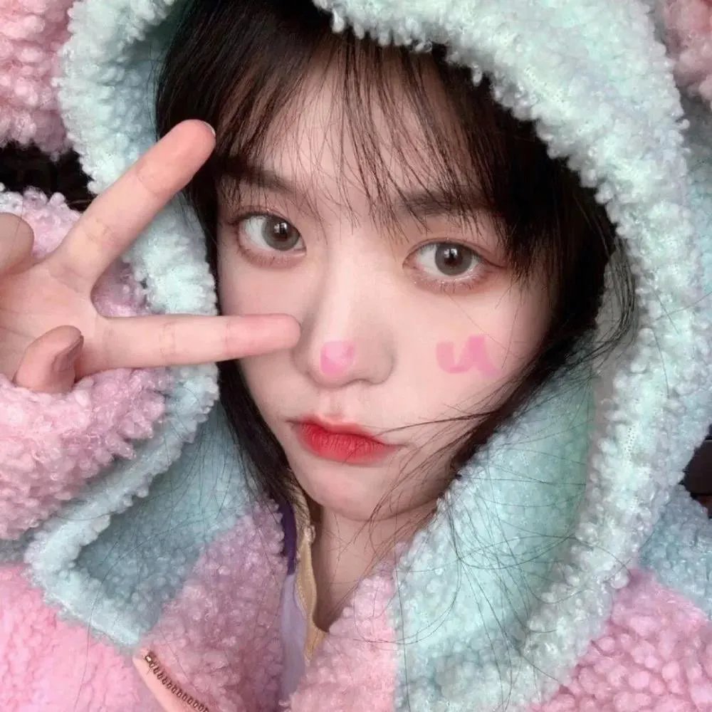 追星星的人第三季