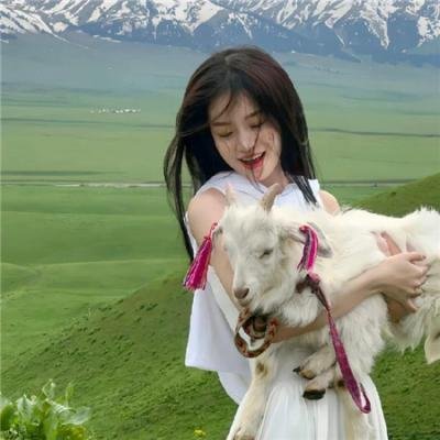 追龙番外篇之龙争虎斗粤语